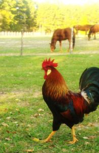 401297_538611406166489_2042519742_n