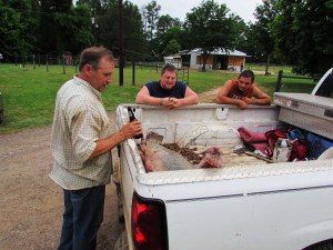 Before weighing the fish the fish must be admired and the entire fish story re-told.  This can take anywhere from 2 to 20 minutes,