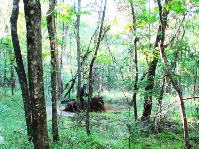 There was a rather large amount of mud being slung in all directions.