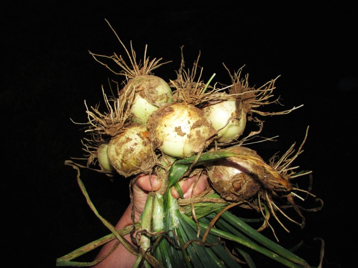 10-15 Y Super Sweet!