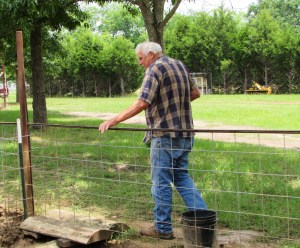 Earl, my neighbor and keeper of the pigs.