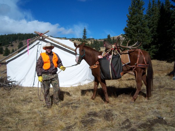 Tater packs our elk, friends elk, tents, gear, food, pretty much anything!