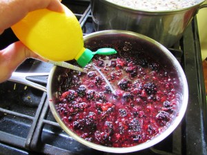 Real lemon juice and a bit of rind zest is better. I didn't have a real lemon.