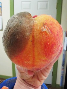 Two sides to every peach, two sides to every person.