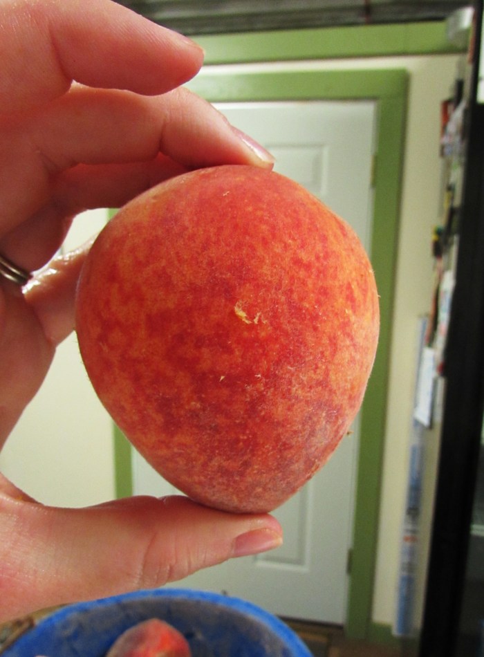 What appears on one side to be a beautiful, perfectly ripe, unblemished peach.....