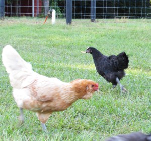 "Leave me alone people!"