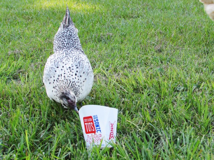 "Mama, this thingy is empty.  Can you please run back to town?"