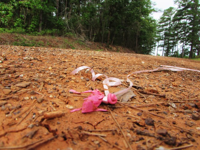 A balloon that I am 100 percent sure came from our homeschool party last week.  I took it home and threw it away.