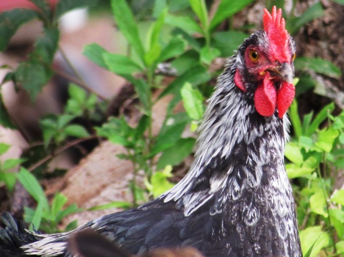 "Hi Mama, did you bring me a snack?!"