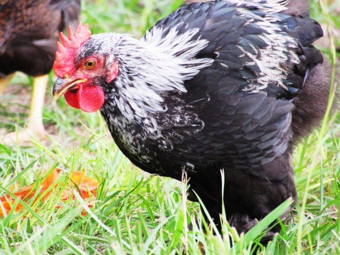 "Fine, I don't need a snack"