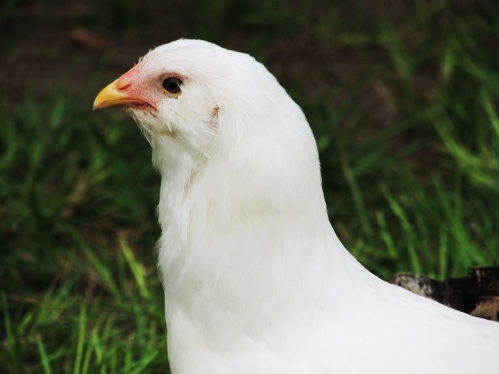 She always has this thoughtful, serious look about her.