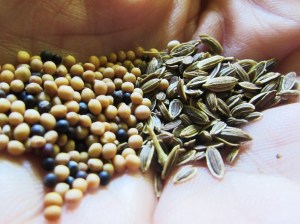 seeds