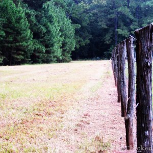 walk fence