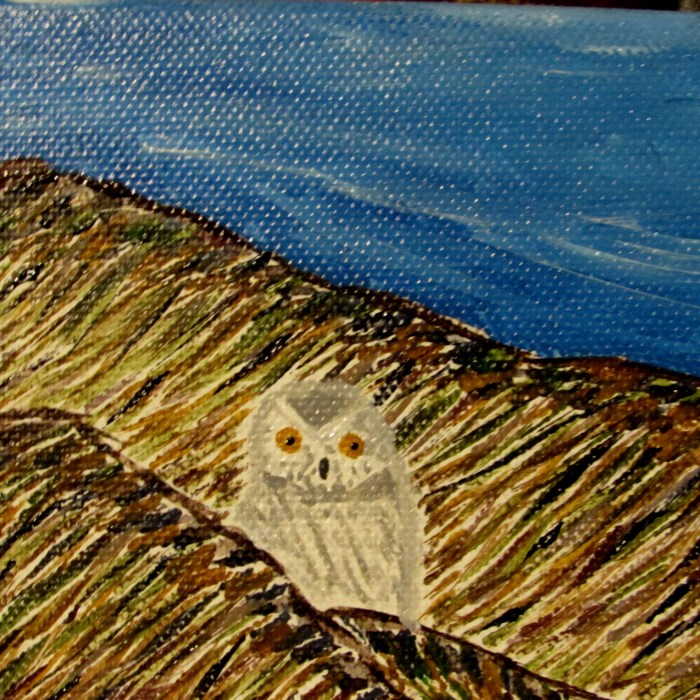 paint owl