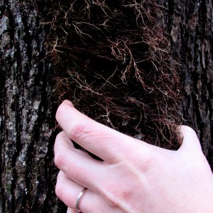 ???????????????????????????????