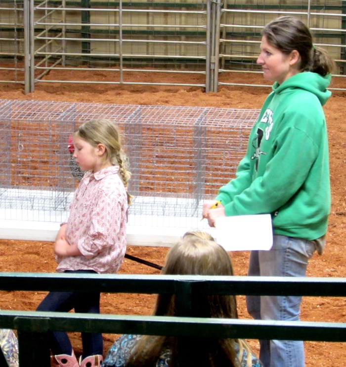 show chicken addie rachel