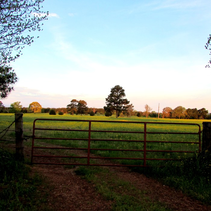 sunrise field gate